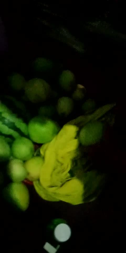 偷瓜吃瓜典故,古风典故中的智慧与幽默