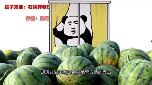 糗事吃瓜,揭秘娱乐圈那些不为人知的尴尬瞬间