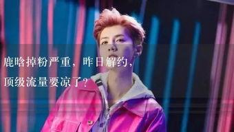 吃瓜主角照片大全,揭秘明星照片背后的故事