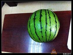 17.吃瓜,17年吃瓜大事件盘点