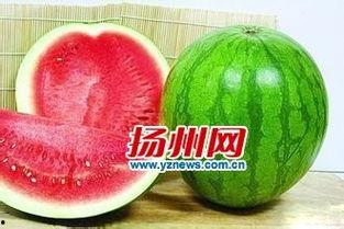 吃红色籽瓜,甜蜜滋味，营养满溢的夏日美味