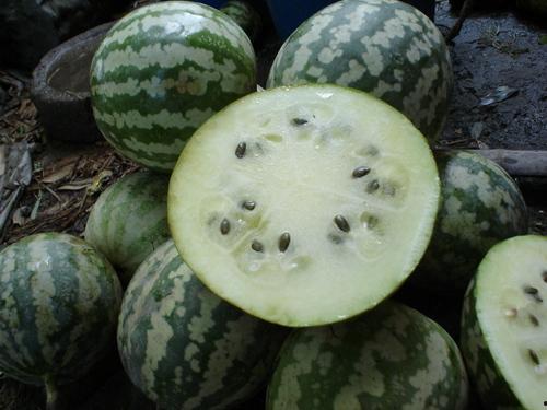 如何吃瓜,解锁夏日消暑新姿势