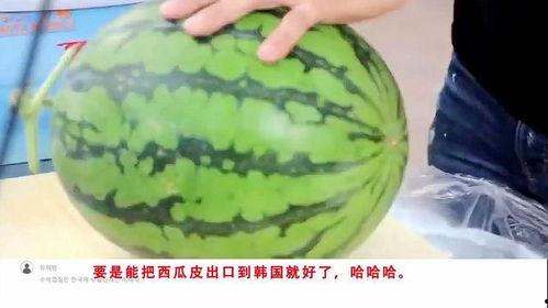 吃瓜不是吃西瓜吗英语,Eating Melons: The Misconception Behind 'Eating Watermelons'