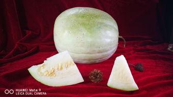 三个白瓜怎么吃蘑菇,美味养生新搭配