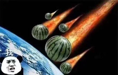 珊瑚直播吃瓜,揭秘网红吃瓜背后的故事