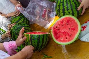 吃瓜图片视频,揭秘吃瓜图片视频背后的精彩故事